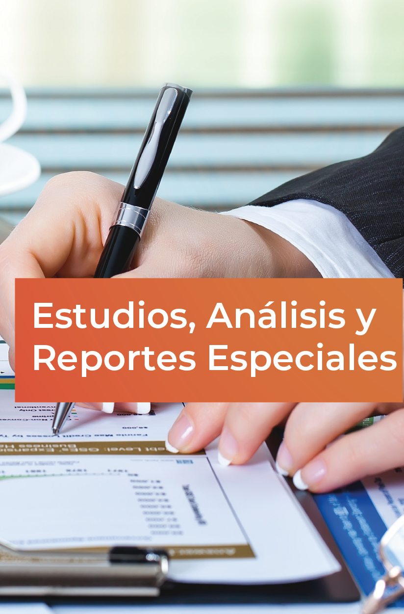 Estudios, Análisis y Reportes