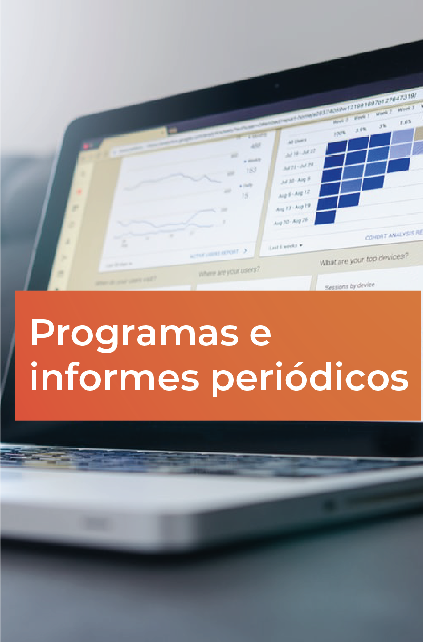 Programas e informes periódicos