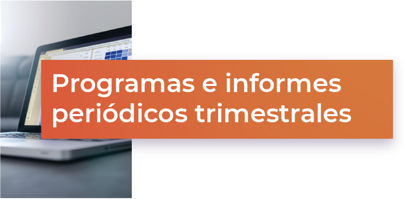 Programas e informes periódicos