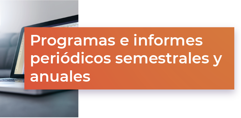 Programas e informes periódicos